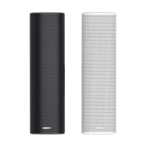 30W Suya davamlı dinamik DSP255IIB/W DSPPA