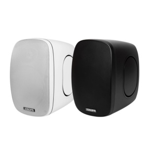 30W Водонепроницаемый настенный динамик DSP6035 DSPPA