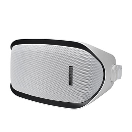 40W Водонепроницаемый настенный динамик с электропитанием DSP2603 DSPPA