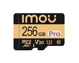 Micro SD card 256G (ST2-256-S1)