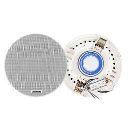 6W Потолочный громкоговоритель DSP5011 DSPPA