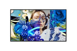 55-inch Slim Digital Signage / DS-D6055UN-DP