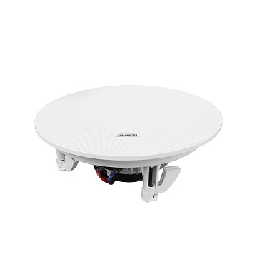 35W Потолочный громкоговоритель DSP5012L DSPPA