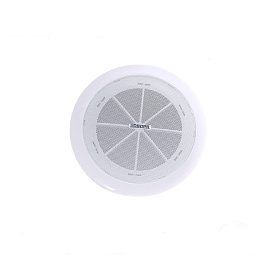 6W Çərçivəsiz tavan dinamiki DSP802 DSPPA