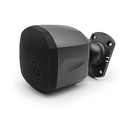 10W Настенный динамик с электропитанием DSP119 DSPPA