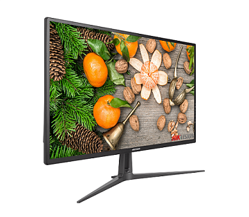 32 inch FHD Monitor / DS-D5232F2-1V1S