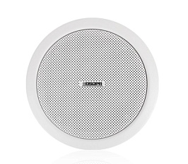 10W Çərçivəsiz tavan dinamiki DSP803 DSPPA